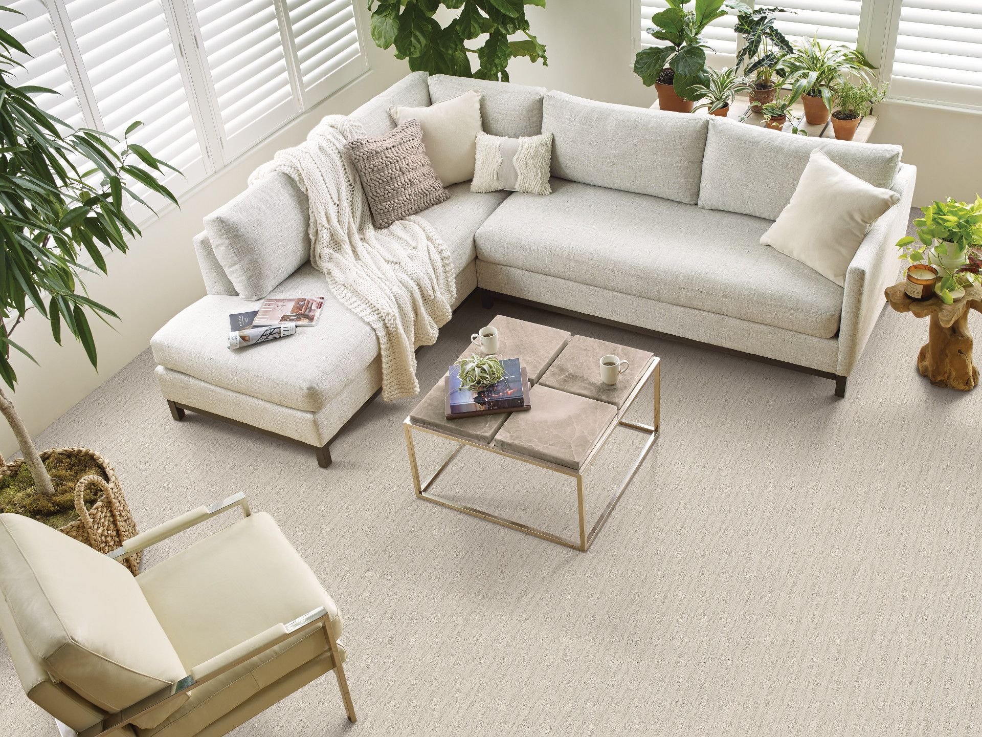 Large living room with white couch on carpet from Camarillo Interiors in San Jose